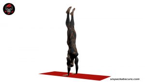 hand-stand-hold